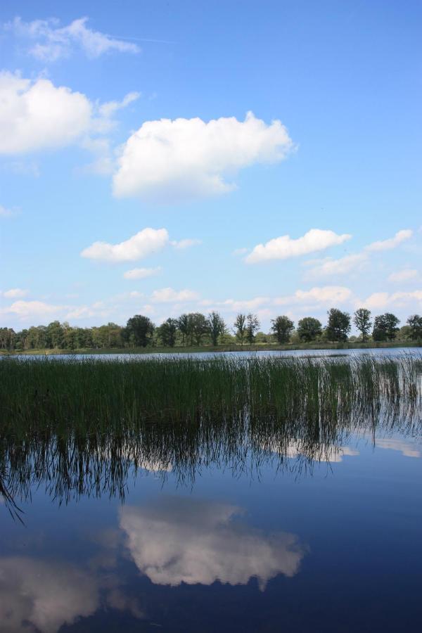 Vakantiehuis Appelvink, Toplocatie In Bosrijke Omgeving Oisterwijk Exterior foto